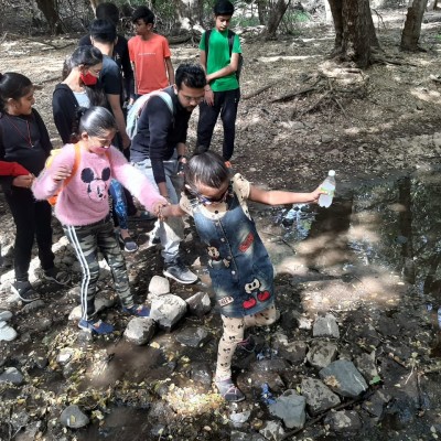 Nature & Birds Watching Camp