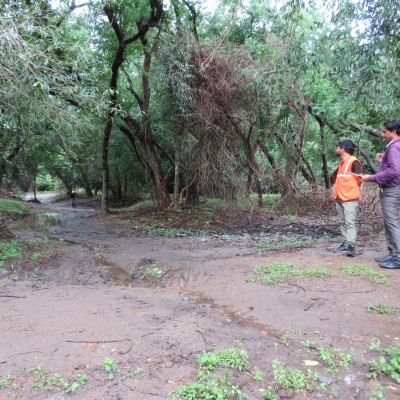 state MTB cycling championship 2021