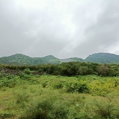 state MTB cycling championship 2021