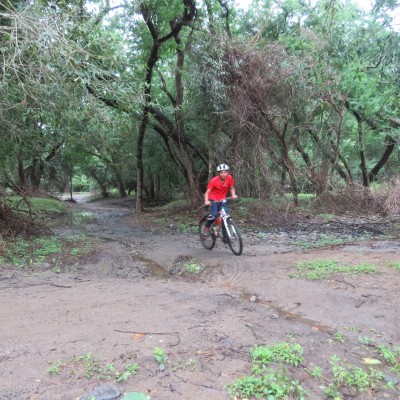 state MTB cycling championship 2021